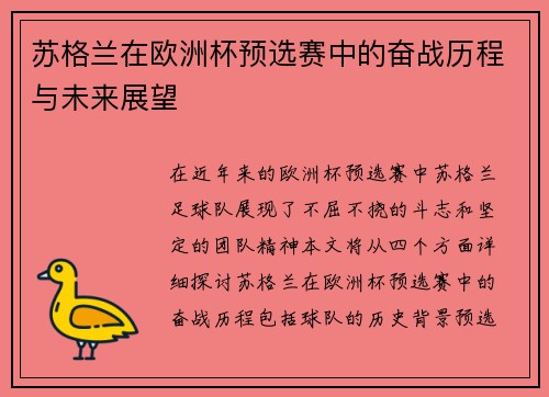 苏格兰在欧洲杯预选赛中的奋战历程与未来展望